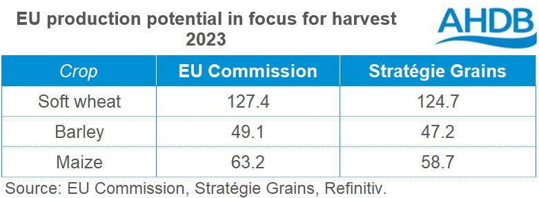 Table showing EU production forecasts for harvest 2023